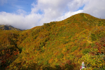 燃える山肌