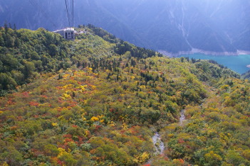 紅葉がきれいだ 黒部湖が見える
