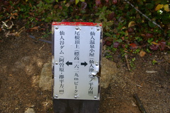 雲きり新道ピーク