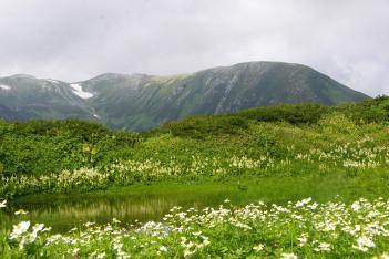 お花畑の向うに双六岳