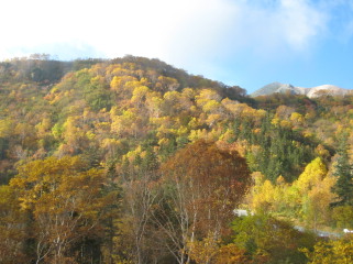 ピークもちらりと紅葉の合間から