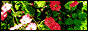 200x40