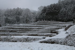 雪の棚田風景