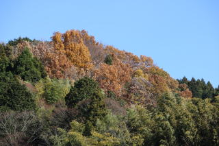 高塚山の紅葉