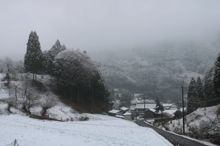 雪化粧の吉隠の集落
