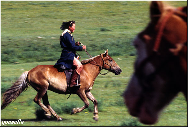 �t�H�g�R���e�X�g�� '96