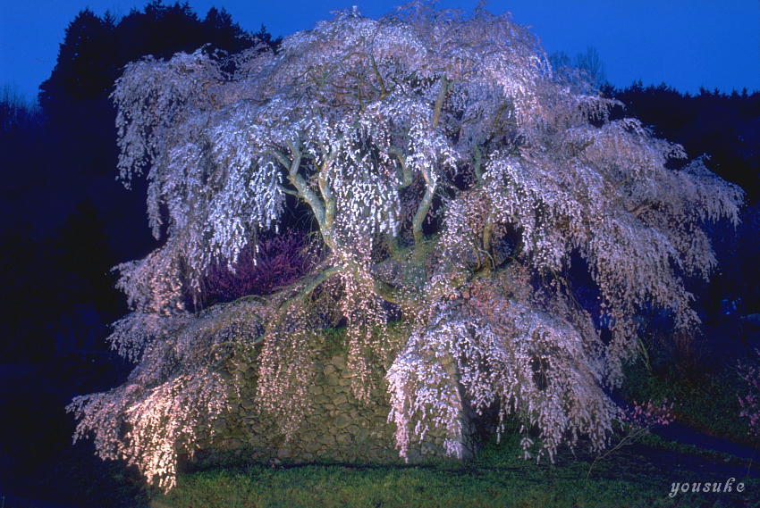 �����q���@�U