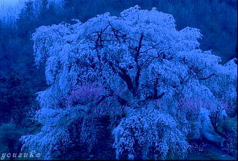 �����q���V