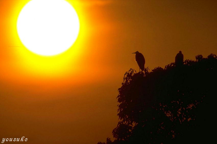 ����UP�V���[�Y�@���������Y�匤��