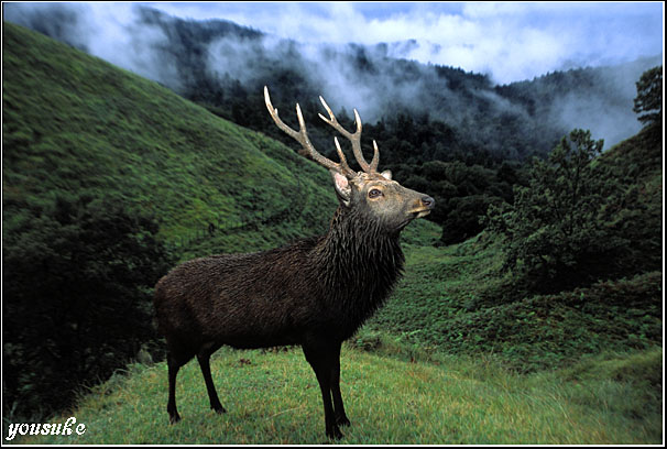 �t�H�g�R���e�X�g��'04