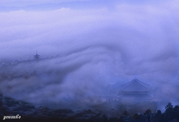 ������̑�a�@