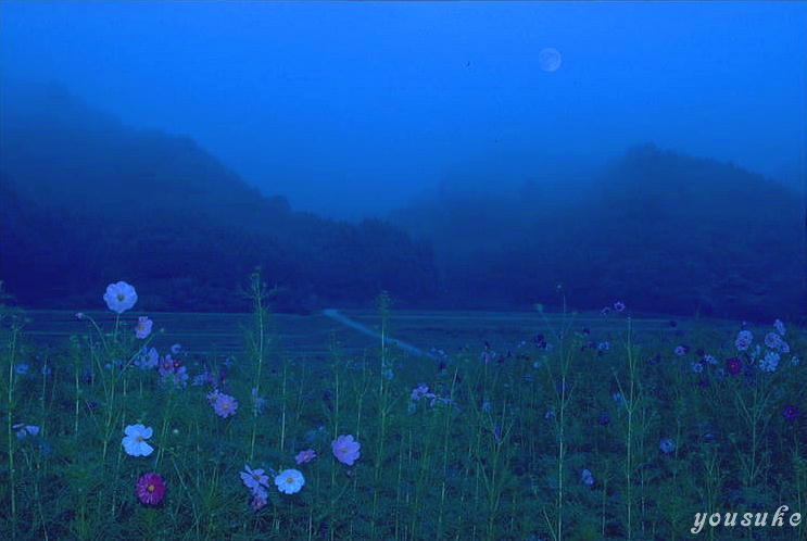 �ޗǖ����@