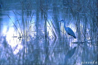 �A�I�T�M�@����r