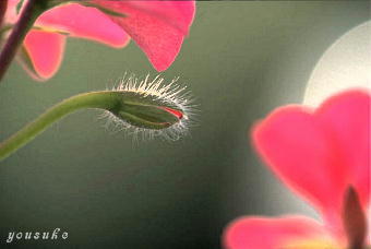 �����@��