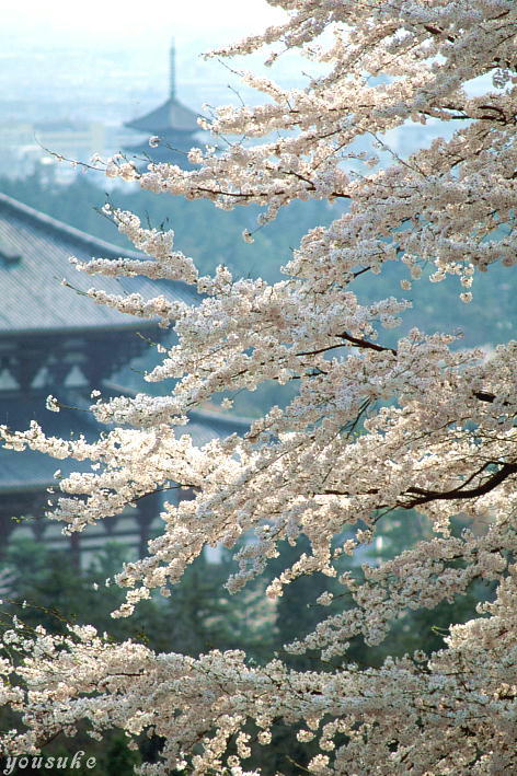 4���@���P�[�V�����K�C�h