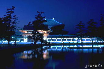 ���P�[�V�����K�C�h�ޗǓ��W�@�啧�a