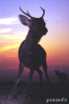 �������z