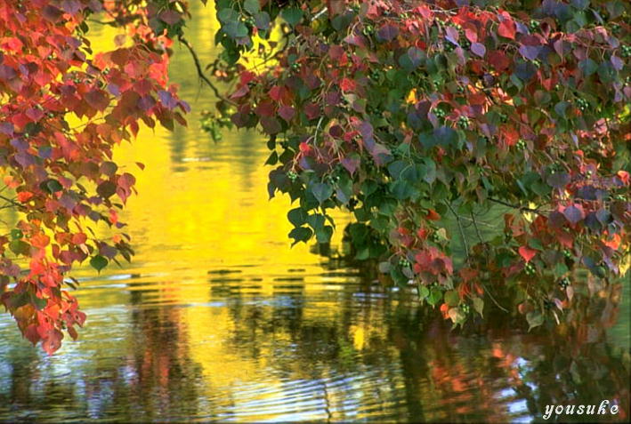 ���P�[�V�����K�C�h11���@���厛�啧�r�@