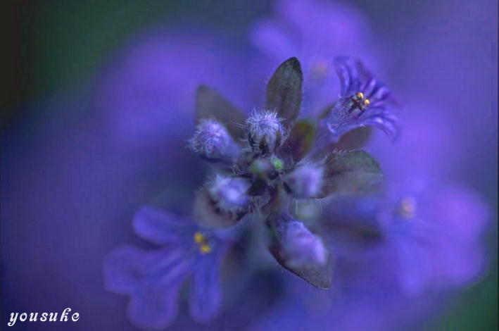 �ԁ@�}�N��