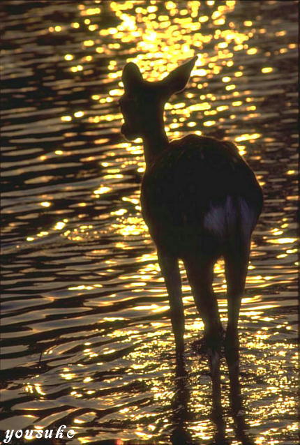 �啧�r�@���[��