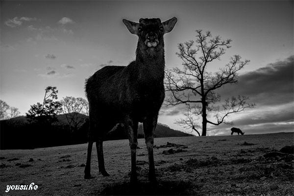 ��86��l�C�`���[�t�H�g�T����