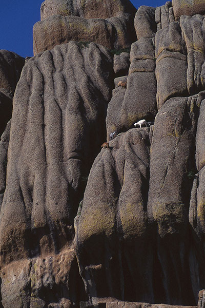 ��90��l�C�`���[�E�t�H�g�T����