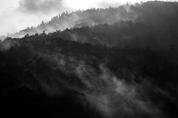 ��88��@�l�C�`���[�t�H�g�T����