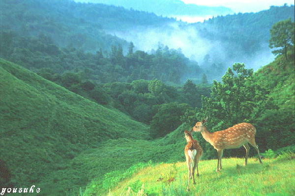 �����݂߂�2001