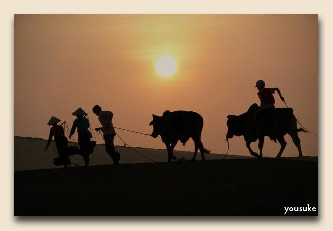 �j�b�R�[���o�b '09