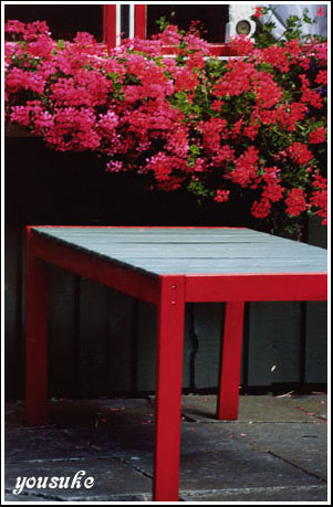 �`�������W