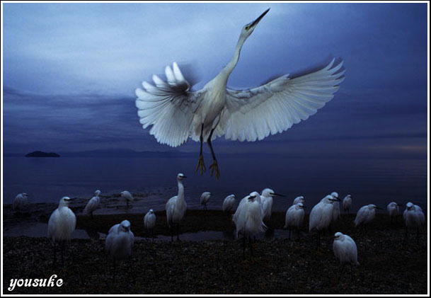 �j�R���@�f�W�^���C���[�W���O