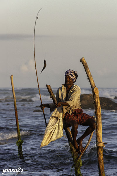 ��240��T�����E�h�E�j�b�R�[��