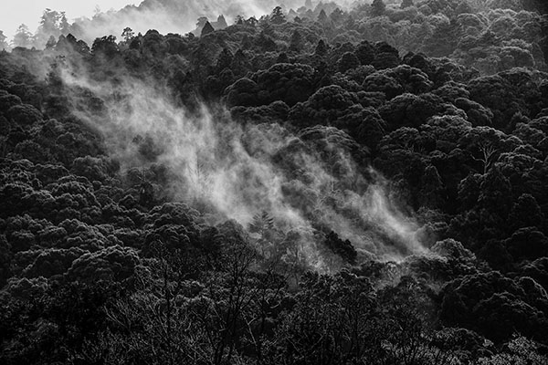 ��W�W��l�C�`���[�t�H�g�T����