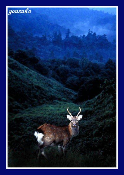 ���{�̎��R2002