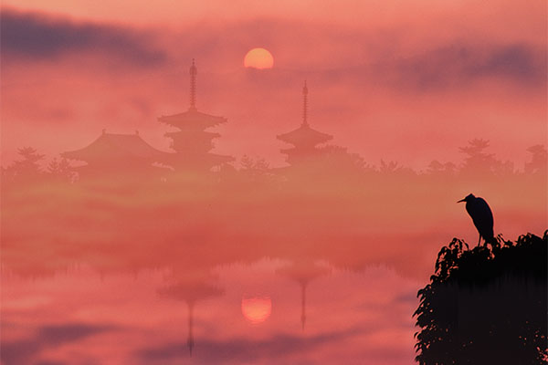 �T���� �h �j�b�R�[��232��