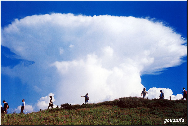 �T���� �h �j�b�R�[��