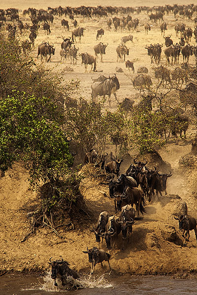 2024�N�@�ޗǌ���t��t�H�g�R���e�X�g