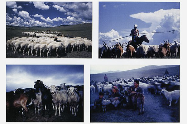 ��242��T�����E�h�E�j�b�R�[���@