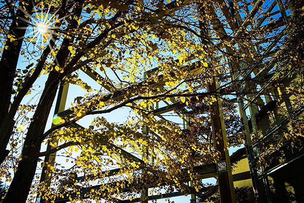 �J�c���P���ό���