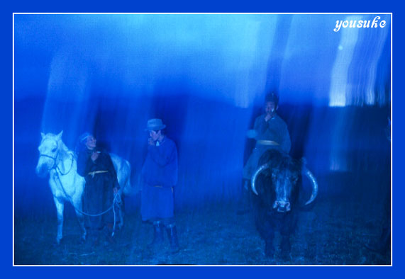 �S���l�̎ʐ^