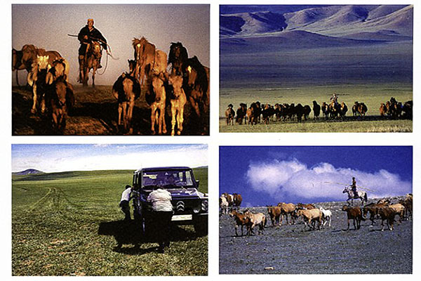 �����ɐ�����