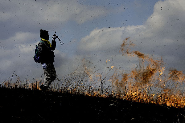 �R�Ă��@�g�Q-�S