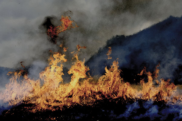 �R�Ă��g�R-�S