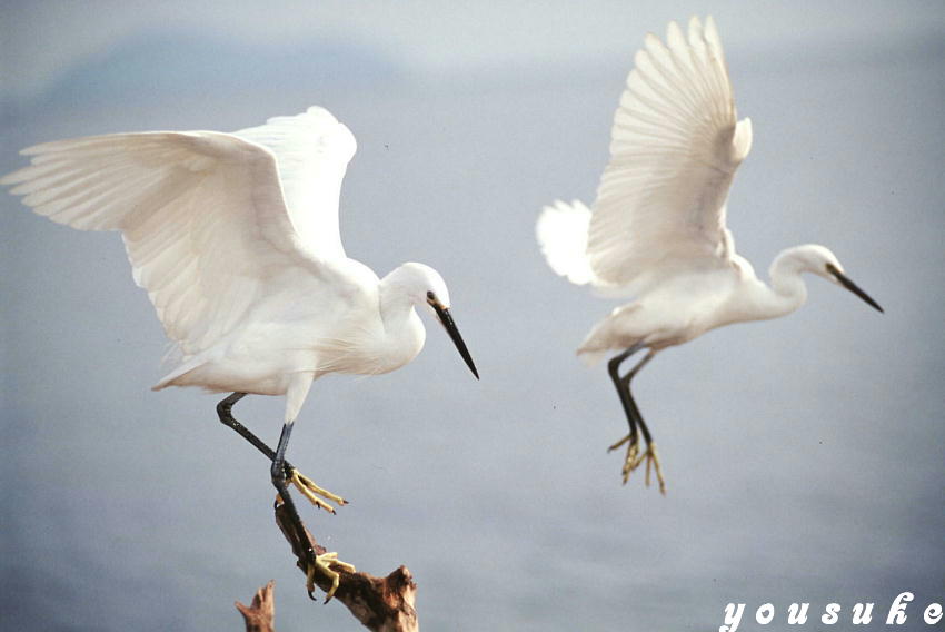 �`�������W