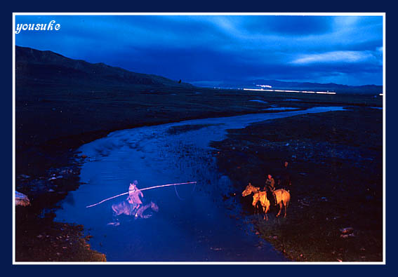 �S���l�̎ʐ^1995