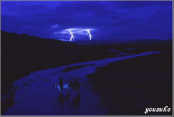 ���ʐ^�o�b