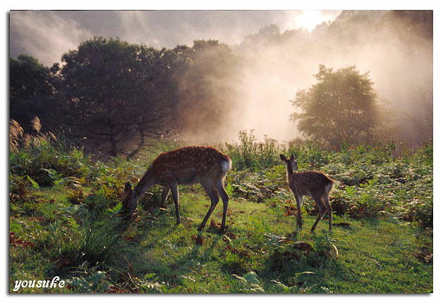 ������̐e�q���@