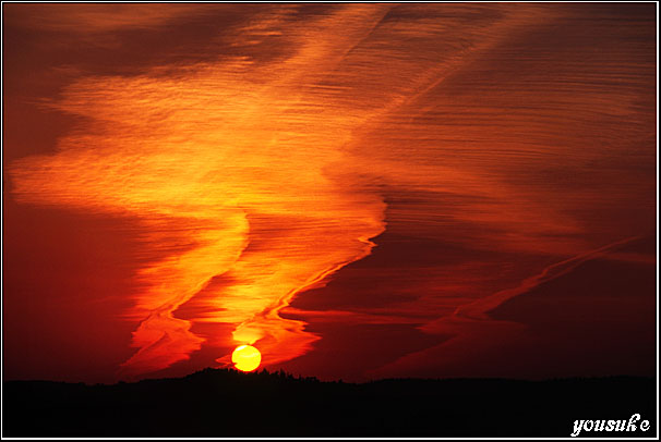 �t�H�g�R���e�X�g�� '99