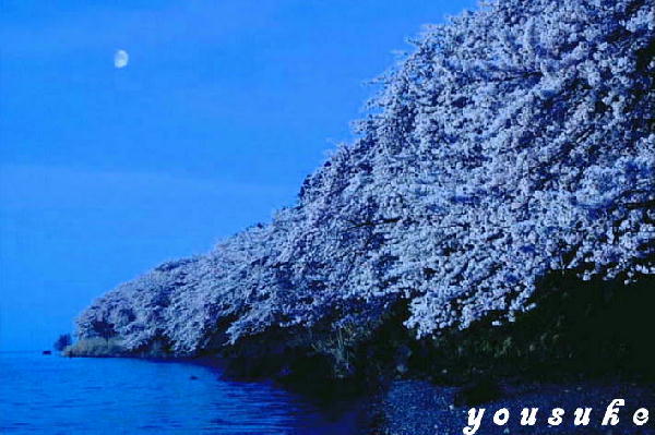 ����n���l