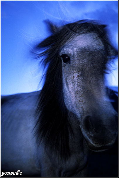 �t�H�g�R���e�X�g�� '02